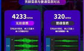 ：打造双鸭山地区最专业的抖音代运营团队